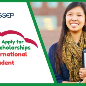 Global Sustainable Electricity Partnership Scholarships